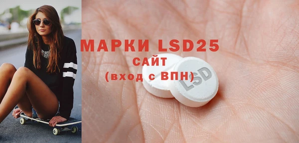 прущие грибы Алексеевка