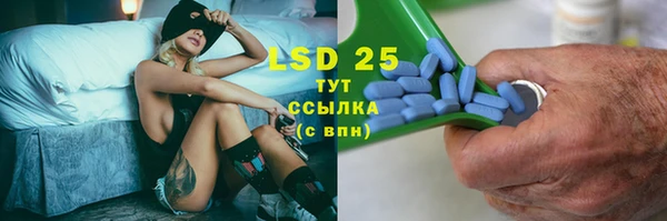 прущие грибы Алексеевка