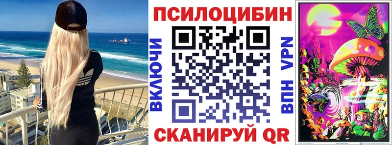 Псилоцибиновые грибы Psilocybine cubensis  Кропоткин 